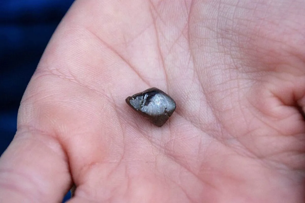 Scoperta sorprendente: turista francese ritrova un diamante da 7,46 carati in Arkansas